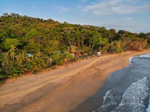 an aerial view of a beach near the ocean at Finca Chica Lodge & Villas in Puerto Viejo