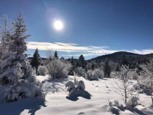 Dren Chalet Lux - Banjska stena v zimě