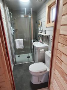 a bathroom with a shower and a toilet and a sink at An Traigh Cabin in Portree