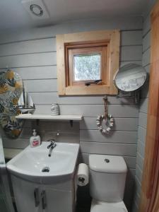 Baño pequeño con aseo y lavamanos en An Traigh Cabin, en Portree