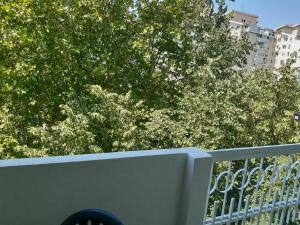 a white fence with trees and buildings in the background at Apartman Lipa in Bar
