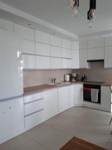 Kuchyňa alebo kuchynka v ubytovaní Sanshiro apartment