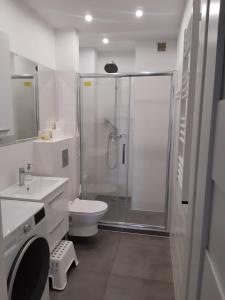 Kúpeľňa v ubytovaní Sanshiro apartment