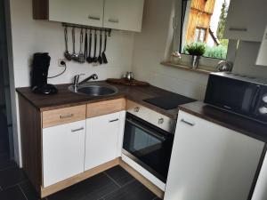 a small kitchen with a sink and a microwave at Ferienhaus Elsa in Kranichfeld