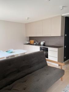 uma sala de estar com um sofá e uma cozinha em Apartment KOPA em Pervalka