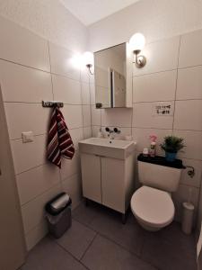 Vannituba majutusasutuses 4P Apartment