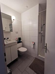 y baño con aseo, lavabo y ducha. en 4P Apartment, en Andermatt