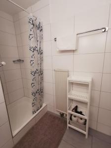 Kylpyhuone majoituspaikassa 4P Apartment