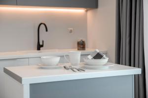 アテネにあるThe Convo Syngrou Apartmentsのキッチンカウンター(ボウル2つ、シンク付)