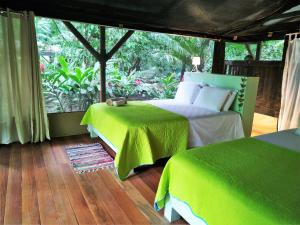 Gallery image of Four Monkeys Eco Lodge - Jungle & Beach in Cabo Matapalo
