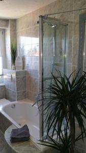 La salle de bains est pourvue d'une douche et d'une baignoire avec une plante. dans l'établissement FeWo Oberdeck Ueckermünde, à Ueckermünde