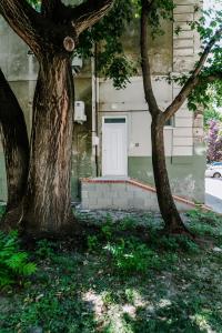 Zahrada ubytování SMARAGD Apartman