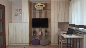 Televízia a/alebo spoločenská miestnosť v ubytovaní LaRoom Apartament