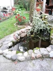 a garden with a pond with rocks and flowers at Apartment ELLA in Tuzla