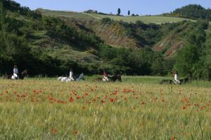 Il Poggio vendégei