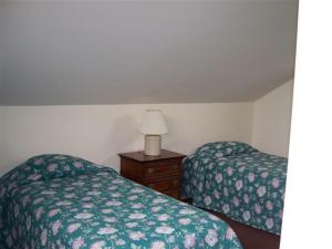 1 dormitorio con 2 camas y una lámpara en un tocador en IGLS Resort Villas at Innsbruck, en Helen