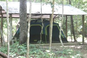 Zahrada ubytování Campamento Yaax Che en Calakmul
