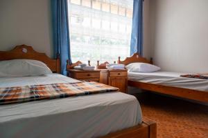 two beds in a room with a window at Hostel Bouganvilia Bed and Breakfast in San Ramón +35 photos
