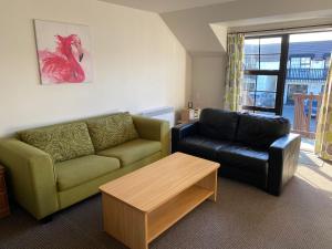 Gallery image of Southern Comfort Motel in Christchurch