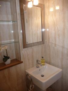 ein Badezimmer mit einem weißen Waschbecken und einem Spiegel in der Unterkunft The Apartment at Hillside Lodge in Broadway