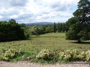 a view of a field with trees in the distance at The Apartment at Hillside Lodge in Broadway