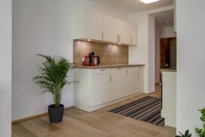 kuchnia z białymi szafkami, zlewem i rośliną w obiekcie Apartment Habicht w mieście Mühlbachl