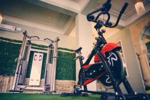 Fitness centrum a/nebo fitness zařízení v ubytování Hotel Jaisalkot