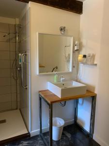 a bathroom with a sink and a shower with a mirror at O Lodge in Cleppé