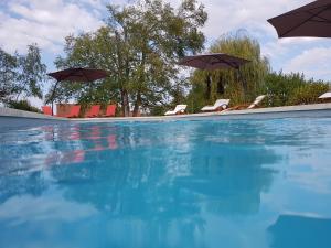 Bazén v ubytování Au Soleil d'Or nebo v jeho okolí