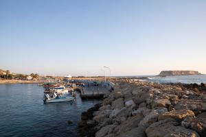 a group of boats docked on a rocky beach at West End Hotel in Peyia