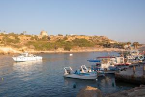 a group of boats are docked in a harbor at West End Hotel in Peyia