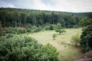 un campo con árboles y animales a lo lejos en Hotel Bremerhof en Kaiserslautern