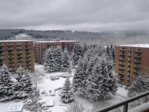 Fewo Therme im Oberharz iarna