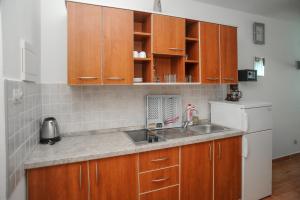 Kuchyň nebo kuchyňský kout v ubytování Apartmani Vila Caska