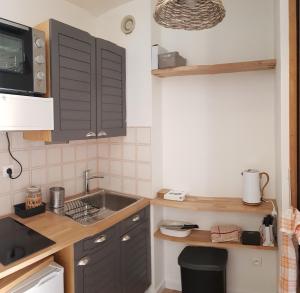 a kitchen with black cabinets and a sink at Établissement Central Parc in Briançon