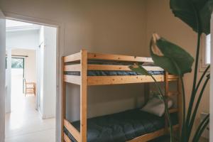 two bunk beds in a room with a plant at Terres de France - Domaine de Kerioche in Rochefort-en-Terre