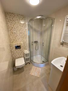 Łazienka w obiekcie Apartamenty pokoje Nad Potokiem