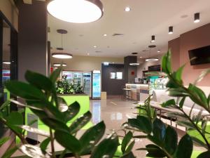 una pianta in vaso nella hall di un negozio di Hotel Puldin COOP a Plovdiv