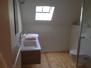 uma casa de banho com um lavatório, um WC e uma janela. em Gite Domaine Leeuwergem em Zottegem