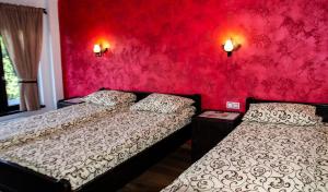 a bedroom with two beds and a red wall at Vila Ozon 90 in Colibiţa