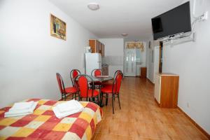 TV a/nebo společenská místnost v ubytování Apartmani Vila Caska