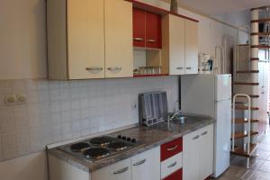 Kuchyň nebo kuchyňský kout v ubytování Apartmani Vila Caska