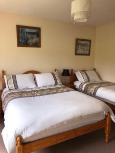 a bedroom with two beds and a lamp at Elm Brook B&B in Ballyshannon