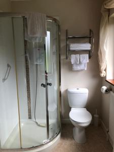 a bathroom with a glass shower and a toilet at Elm Brook B&B in Ballyshannon