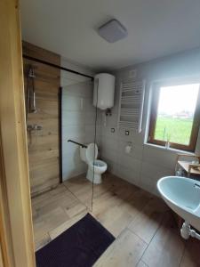 a bathroom with a shower and a toilet and a sink at Happy Holiday domki Zator in Zator