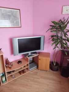 a television on a stand in a room with a plant at Отдельная комната в Юрмале in Jūrmala