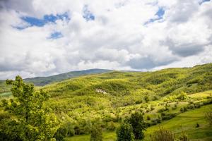 Príroda v okolí apartmánu