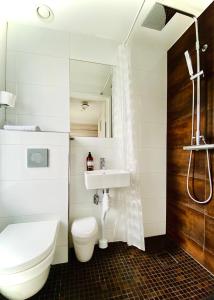 Koupelna v ubytování Lapland Lodge