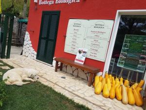 Fotografie z fotogalerie ubytování Agriturismo Rosso Lampone v destinaci Cerreto Laziale