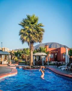 a person swimming in a pool with a palm tree at Hotel Serena Suite in La Serena